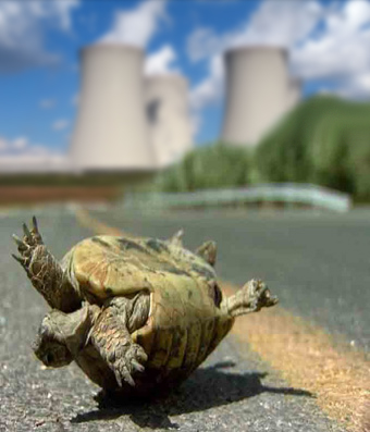 NuclearTurtle